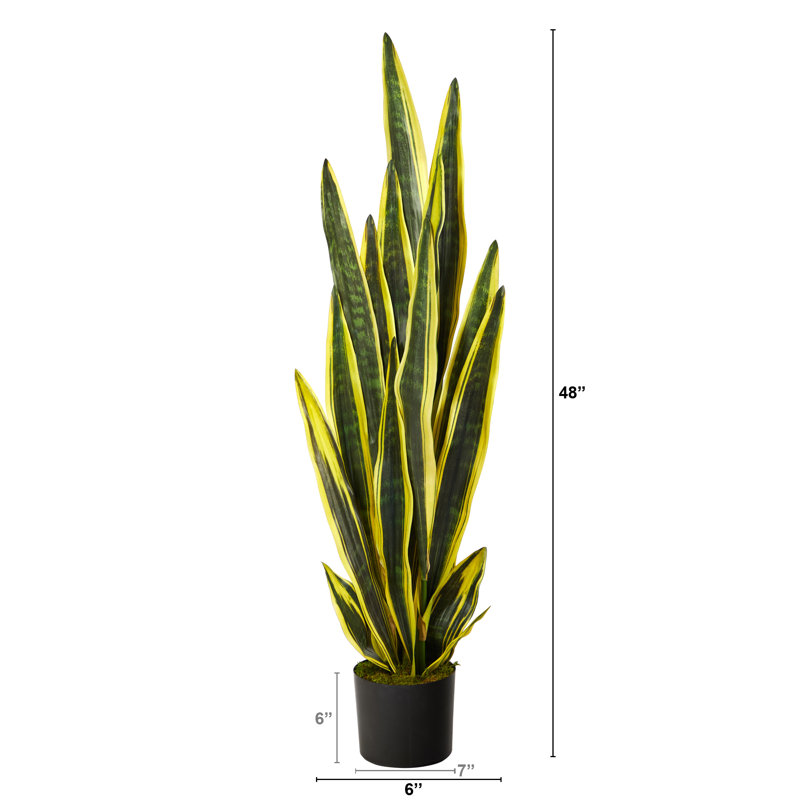 Primrue Faux Snake Plant Tree in Planter & Reviews Wayfair